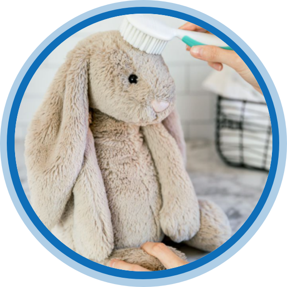 How to maintain plush toys?