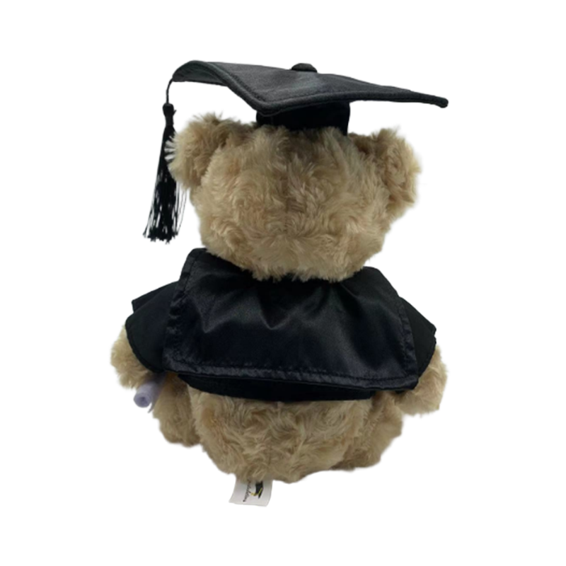 Graduation Teddy Bear