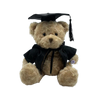 Graduation Teddy Bear