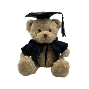 Graduation Teddy Bear