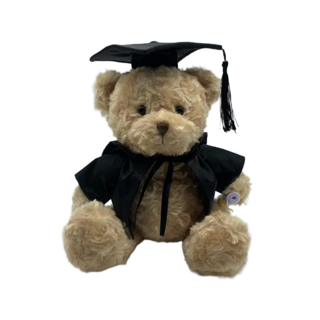 Graduation Teddy Bear