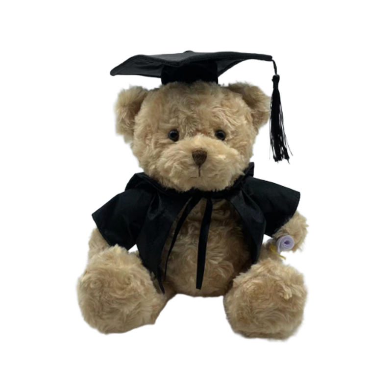 Graduation Teddy Bear