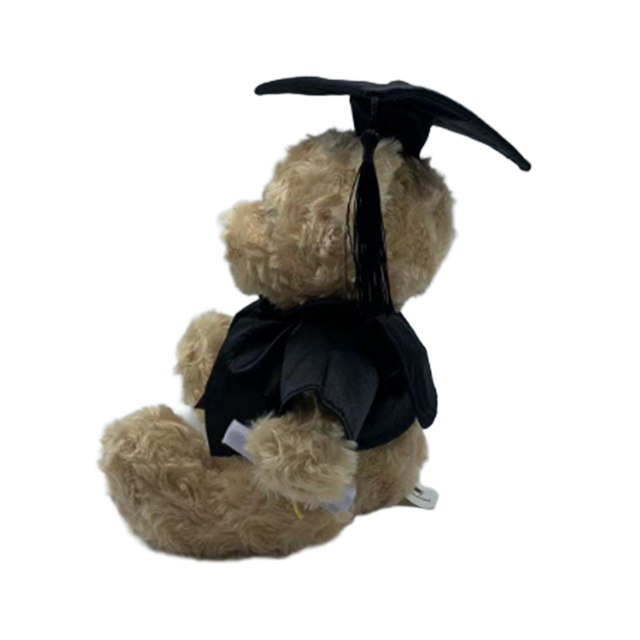 Graduation Teddy Bear