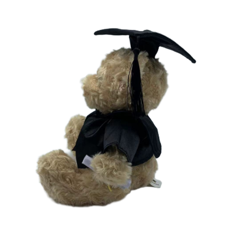 Graduation Teddy Bear